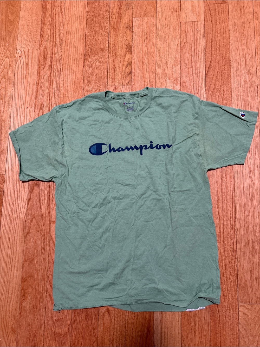 Champion Men's Sage Green Tee with Navy Logo